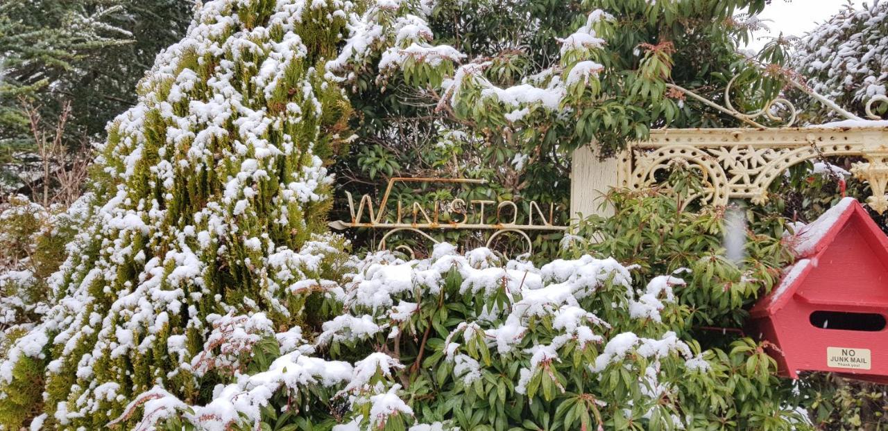 Winston Cottage At Three Sisters Катумба Екстер'єр фото