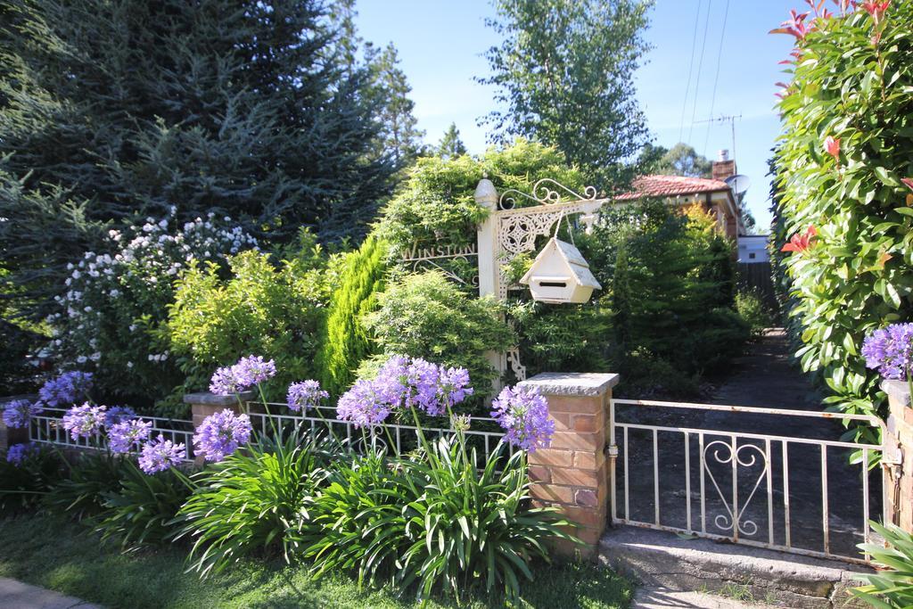 Winston Cottage At Three Sisters Катумба Екстер'єр фото