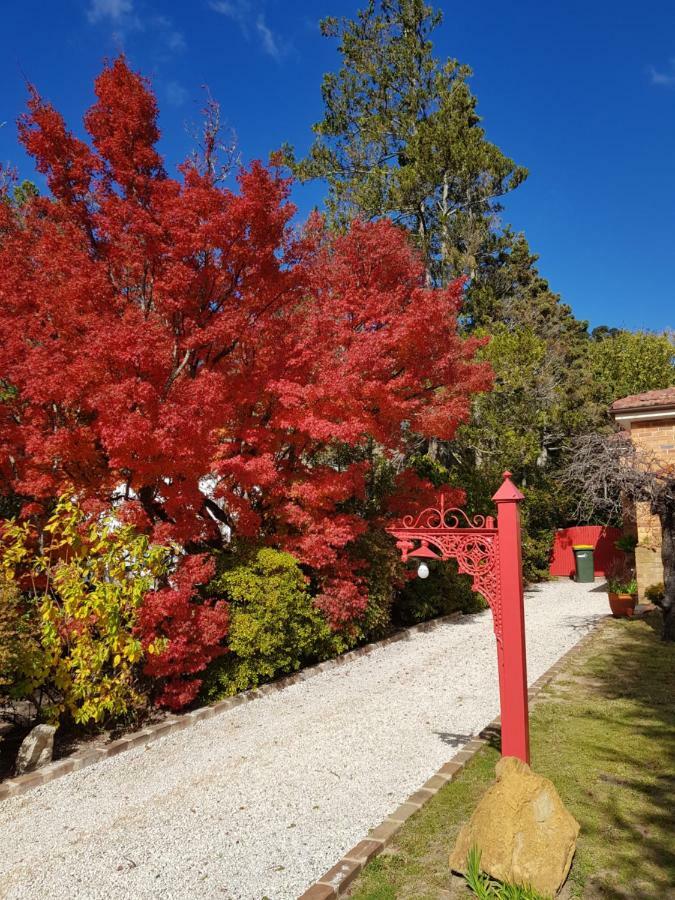 Winston Cottage At Three Sisters Катумба Екстер'єр фото